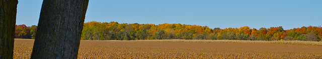 The View from Boyer Road