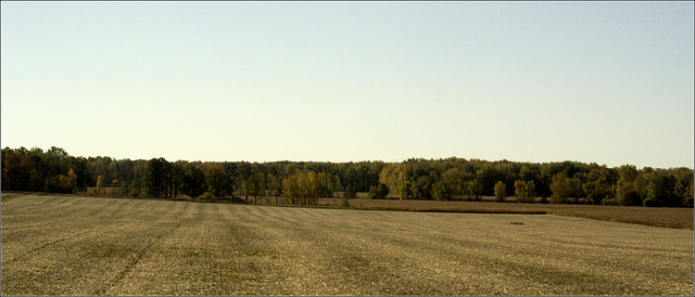 Across the Stubbled Field