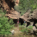 0502 141940 West Fork Oak Creek