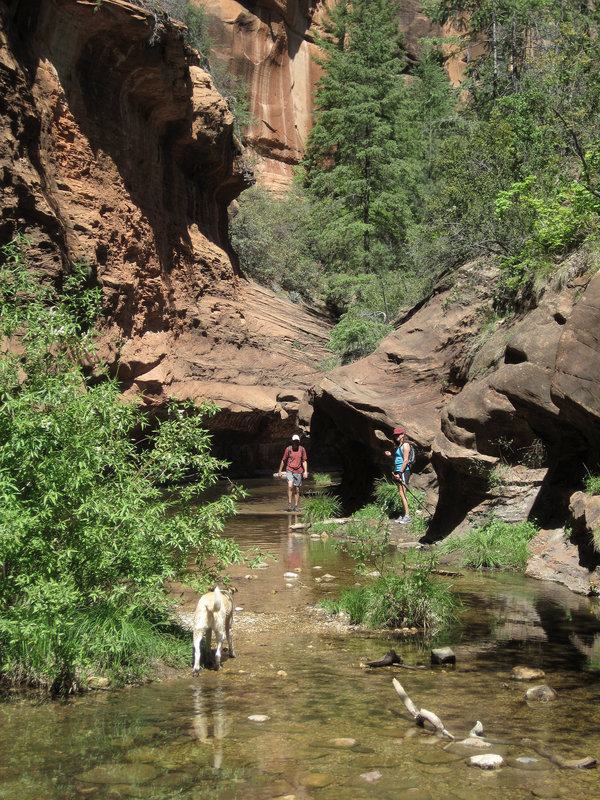 0502 141940 West Fork Oak Creek