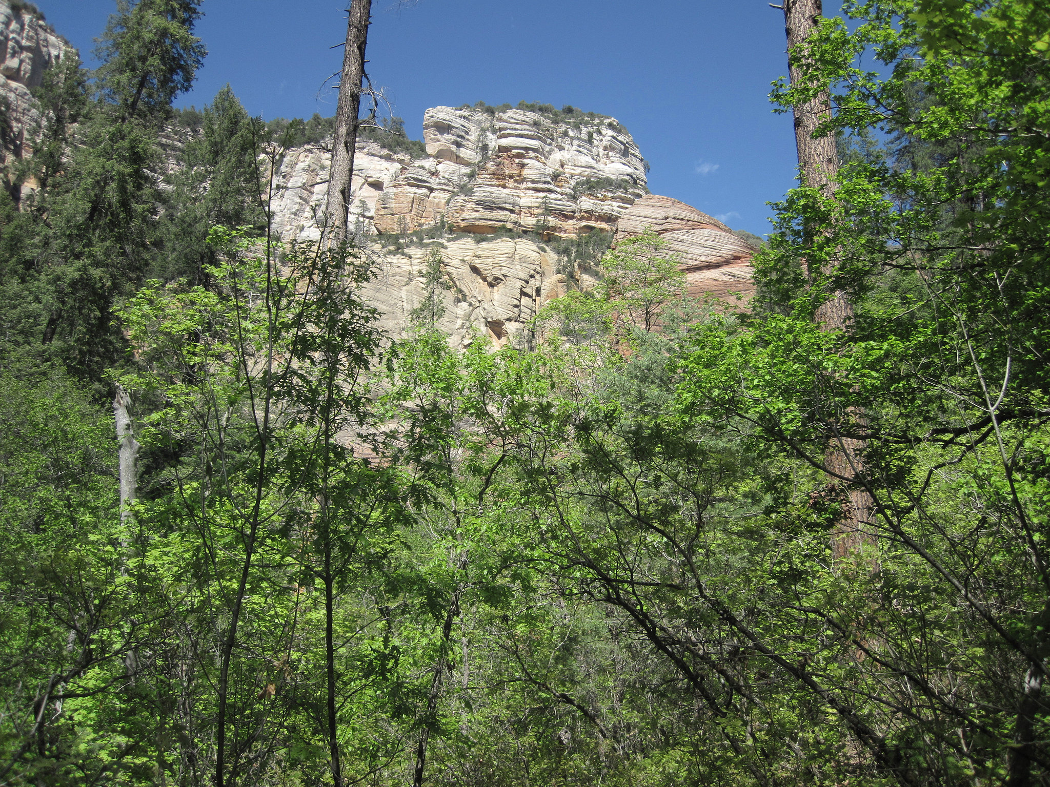 0502 143304 West Fork Oak Creek