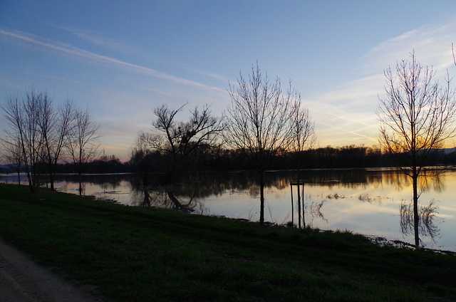 Ballade sur les bords de Saône