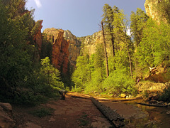 0502 150248 West Fork Oak Creek