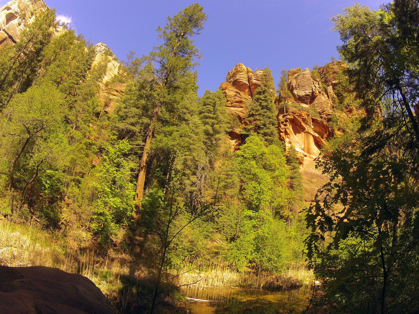 0502 150618 West Fork Oak Creek