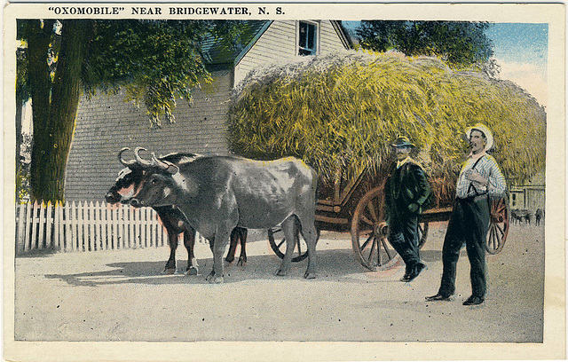 "Oxomobile" near Bridgewater, N.S.