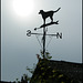 weatherdog wind vane