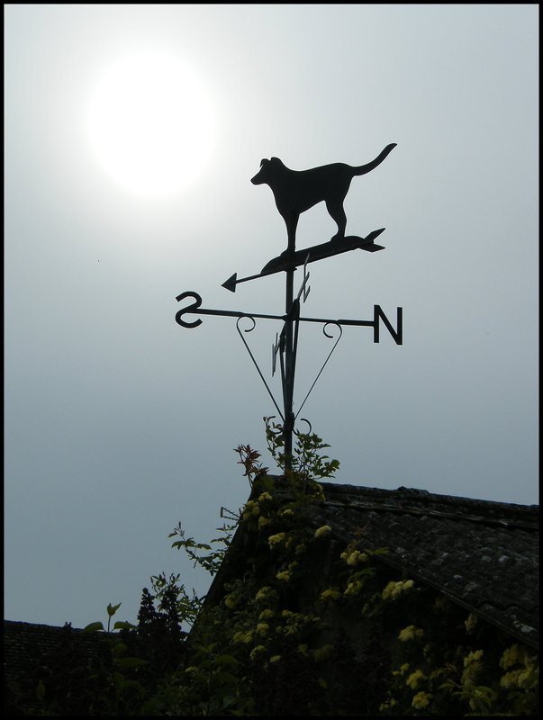 weatherdog wind vane