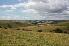 On the Downs