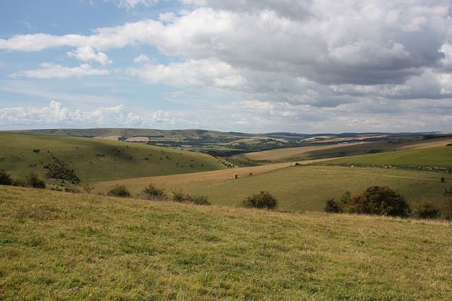 On the Downs