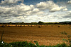 Clouds Over The Harvest