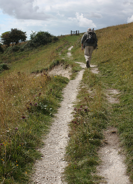 Walking the path