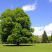 Park von Schloss Zeil