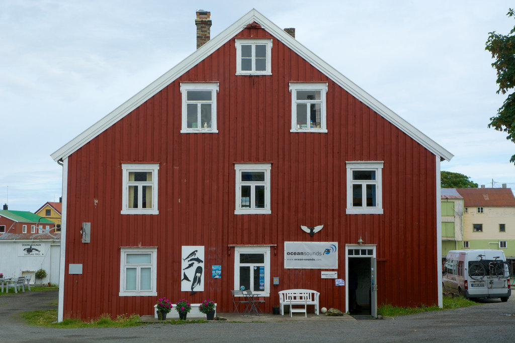 DSC 3280