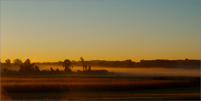 Saturday Sunrise