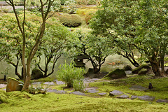 Koi in the Pond – Japanese Garden, Portland, Oregon