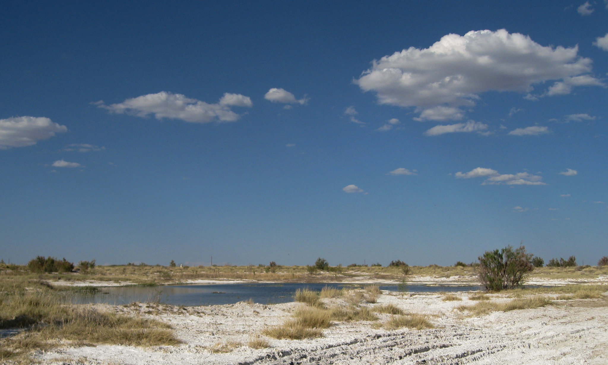 Bisti Wilderness (171)