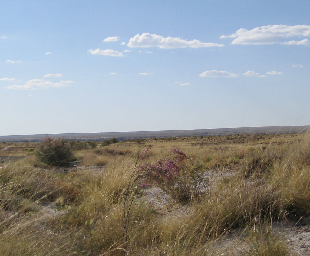 Bisti Wilderness (172)