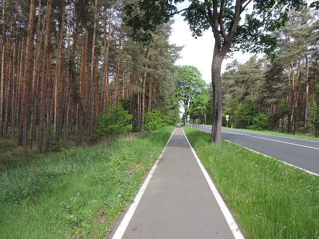 Radweg Baruth - Klasdorf