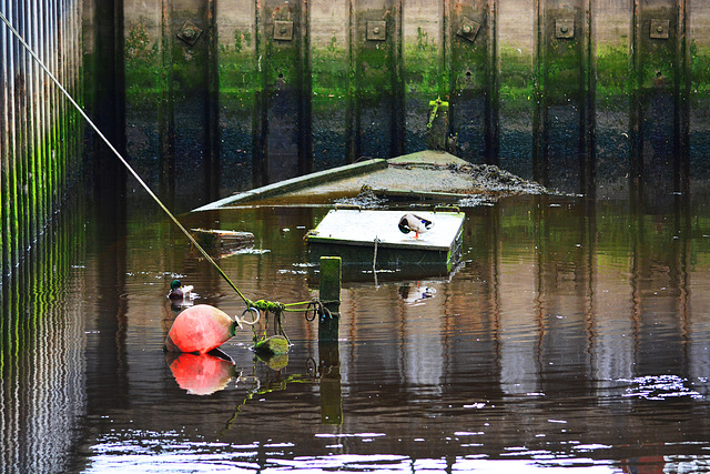 Wreck Reflected