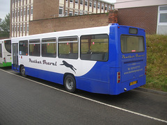 DSCN5891 Panther Travel P390 LPS on loan to Stephensons of Essex in Bury St. Edmunds - 18 Jun 2011