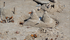 Structures on the Beach