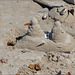 Structures on the Beach