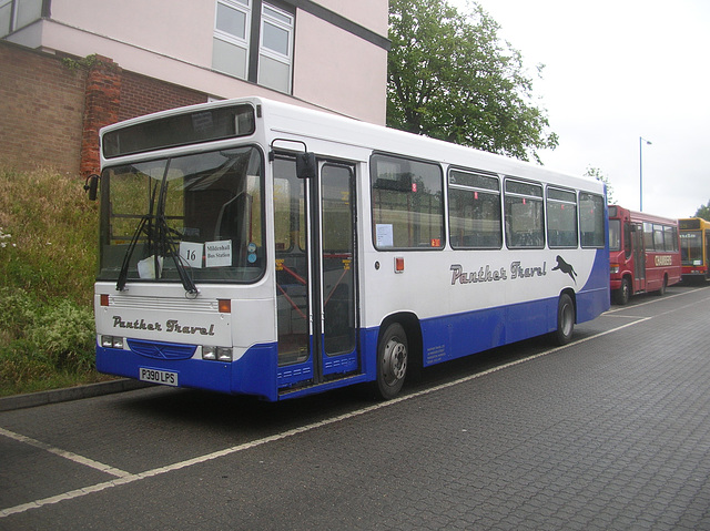 DSCN5892 Panther Travel P390 LPS on loan to Stephensons of Essex in Bury St. Edmunds - 18 Jun 2011