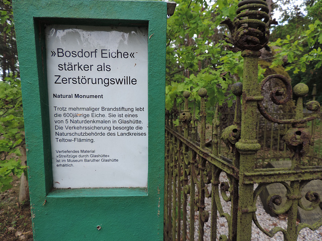 Hinweistafel Bosdorfeiche