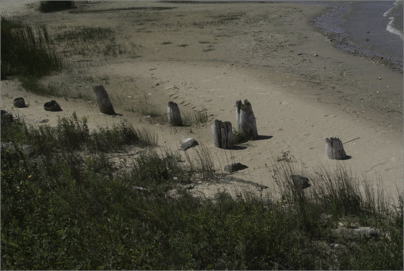Old Pilings