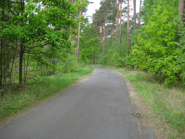 Radweg Glashütte - Friedrichshof