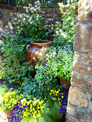 Flowers and Terracotta