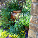 Flowers and Terracotta