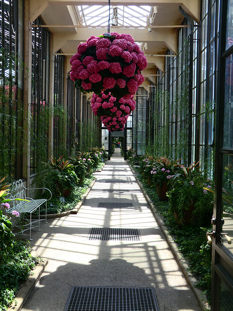 View Down a Hall