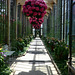 View Down a Hall