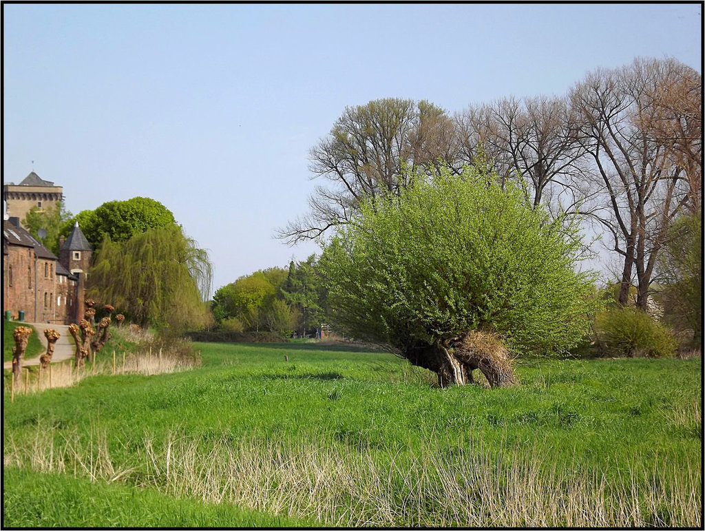 Zons, Rhein-Kreis Neuss 031