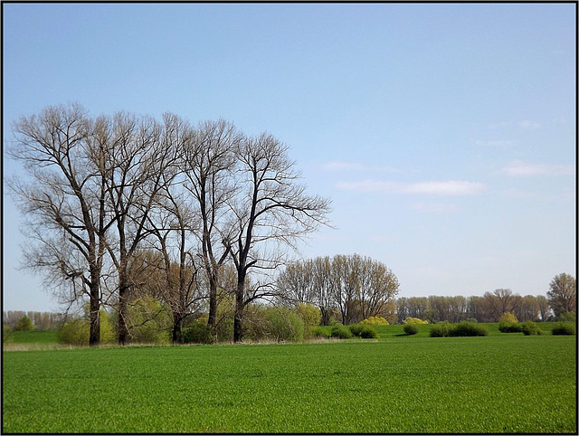 Zons, Rhein-Kreis Neuss 034