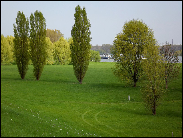 Zons, Rhein-Kreis Neuss 049