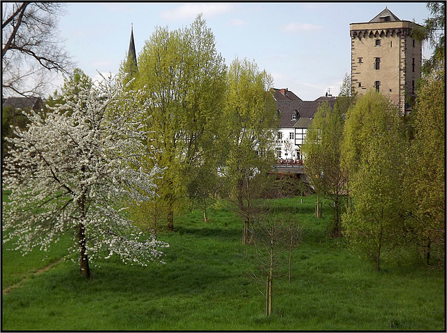 Zons, Rhein-Kreis Neuss 055