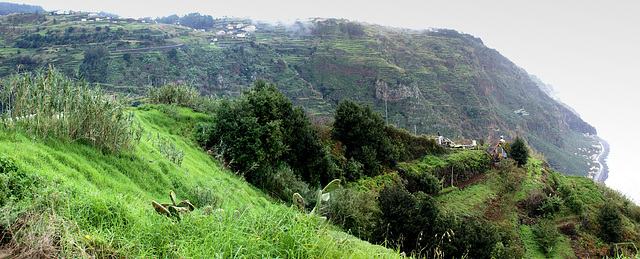 Tour: Paso Encumeada - Paul da Serra - Porto Moniz - Funchal  ©UdoSm