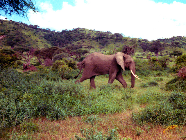 Lake Manyara