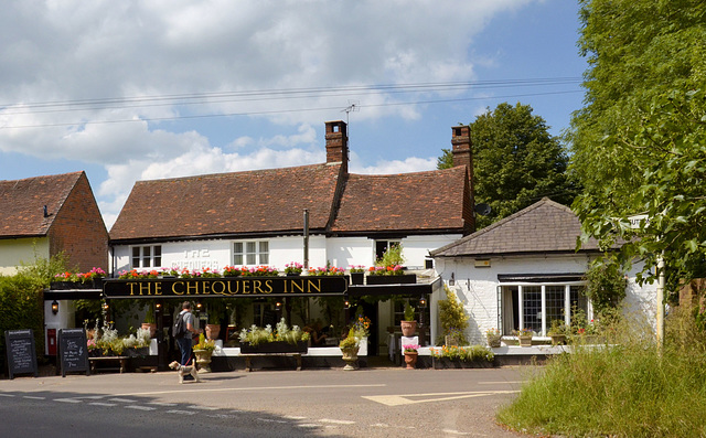 Good beer, good food at the Chequers Inn, Well, Hampshire