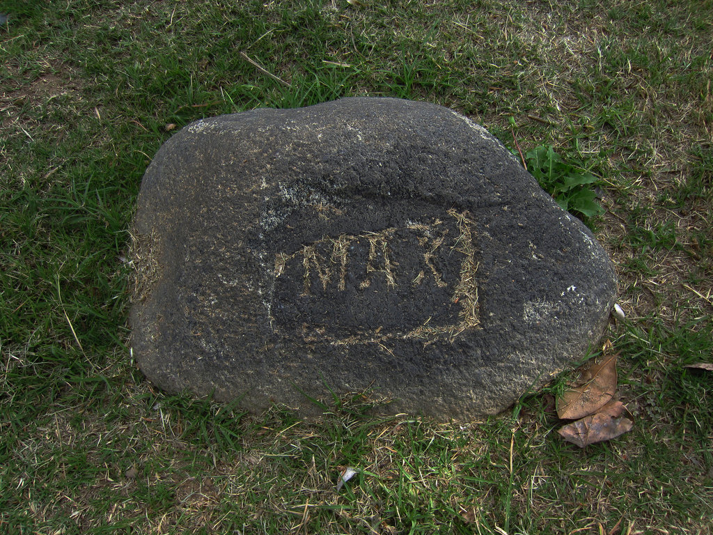 Mountain View Cemetery - Max (2172)