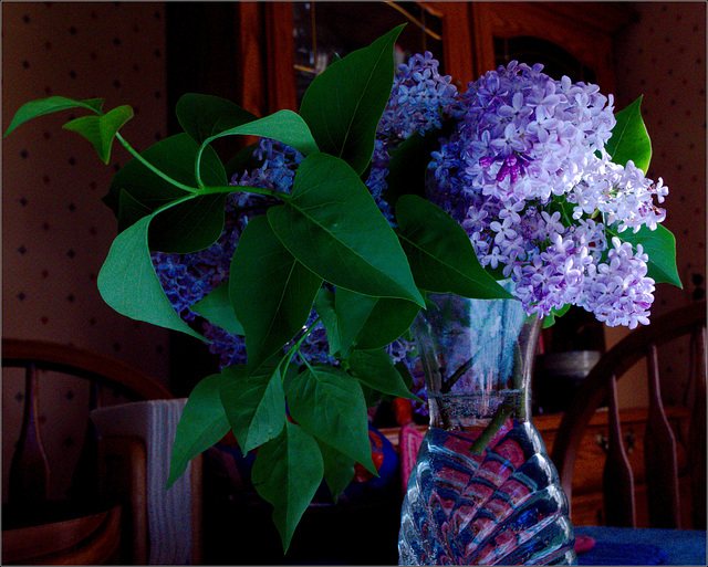 This Morning the House Smells Like Lilacs