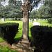 Mountain View Cemetery (2162)