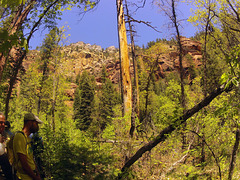 0502 120826 West Fork Oak Creek