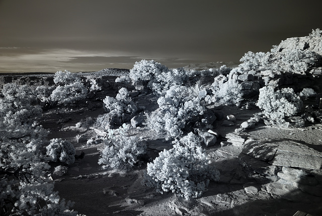 Needles Overlook