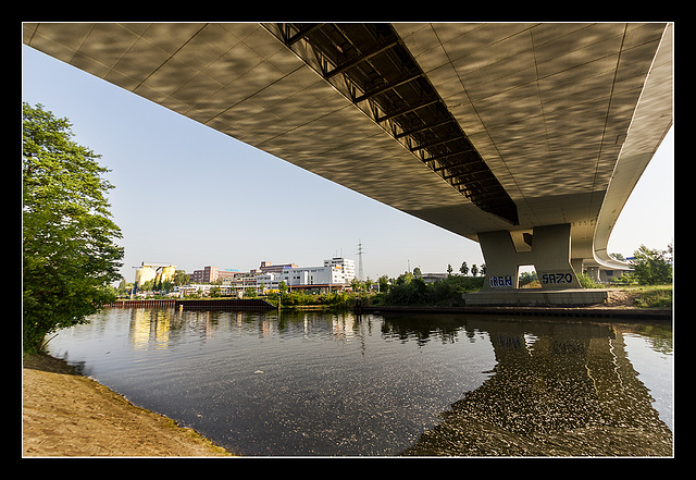 Liquid Bridge