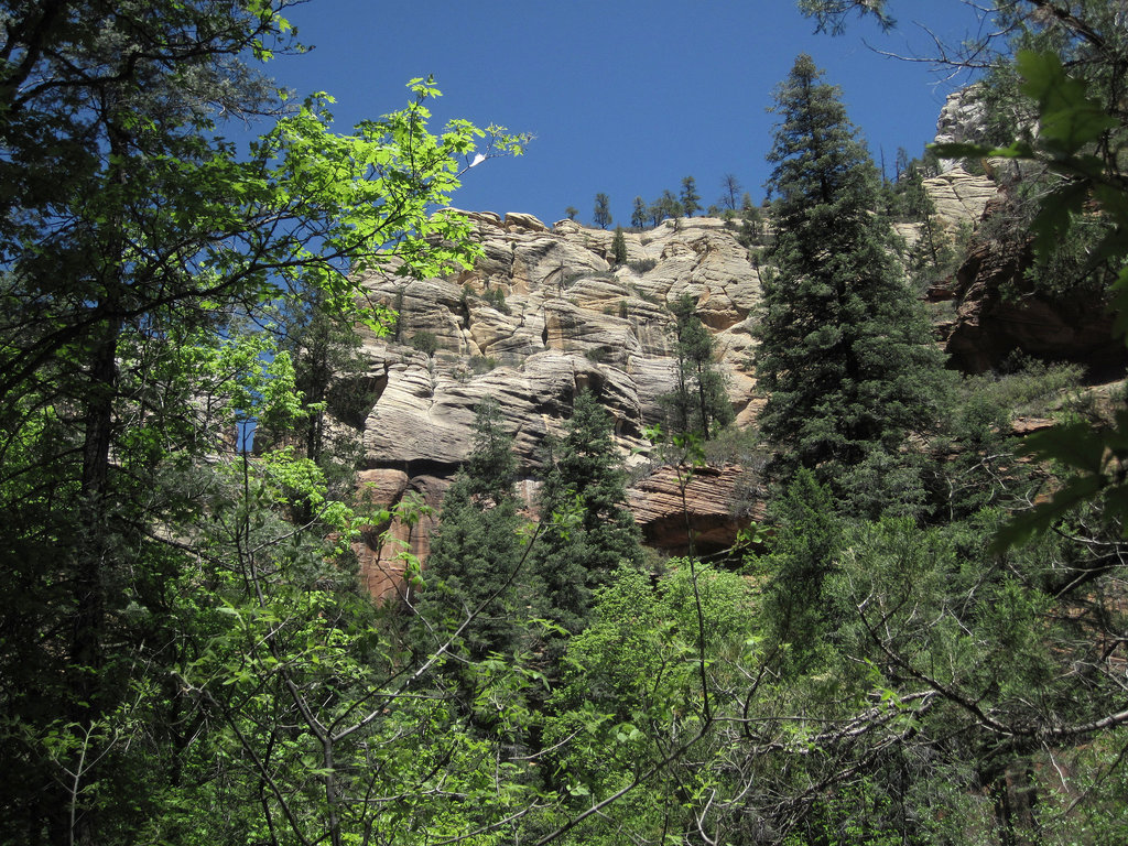0502 123128 West Fork Oak Creek