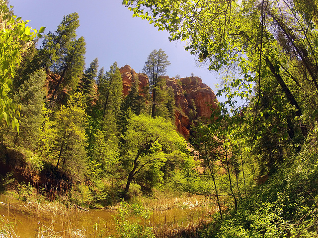 0502 123356 West Fork Oak Creek