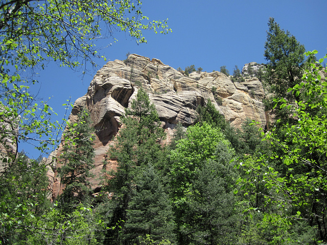 0502 123358 West Fork Oak Creek